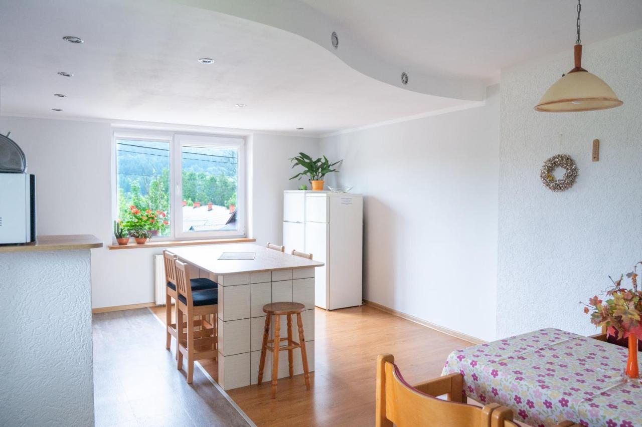 Noclegi U Fela Ustrzyki Dolne Extérieur photo